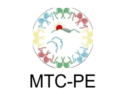 Calcular-Contabilidade-cliente-MOVIMENTO-DE-TRABALHADORES-CRISTAOS-MTC-PE